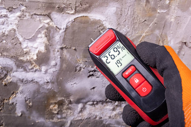 Best Insurance-Related Mold Remediation in Mford, IL