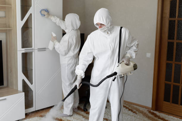 Best Residential Mold Remediation in Mford, IL