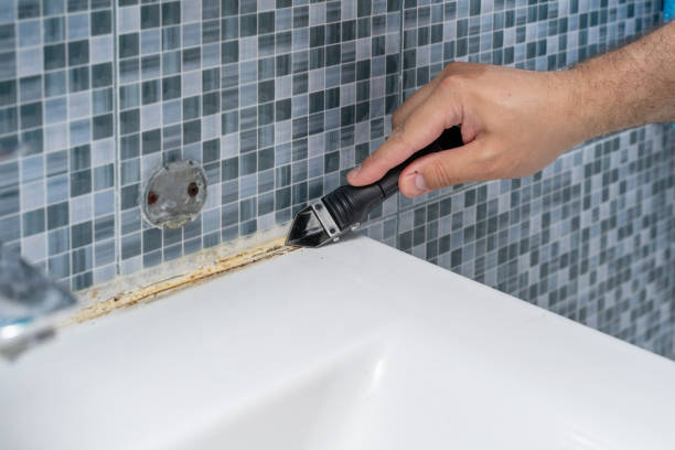 Best Mold Testing and Inspection Services in Mford, IL